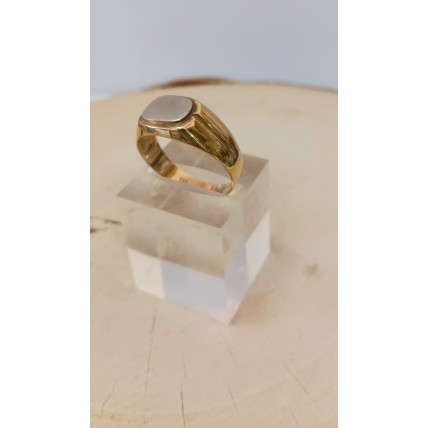 Δαχτυλίδι Λευκόχρυσο 14K (RI527)